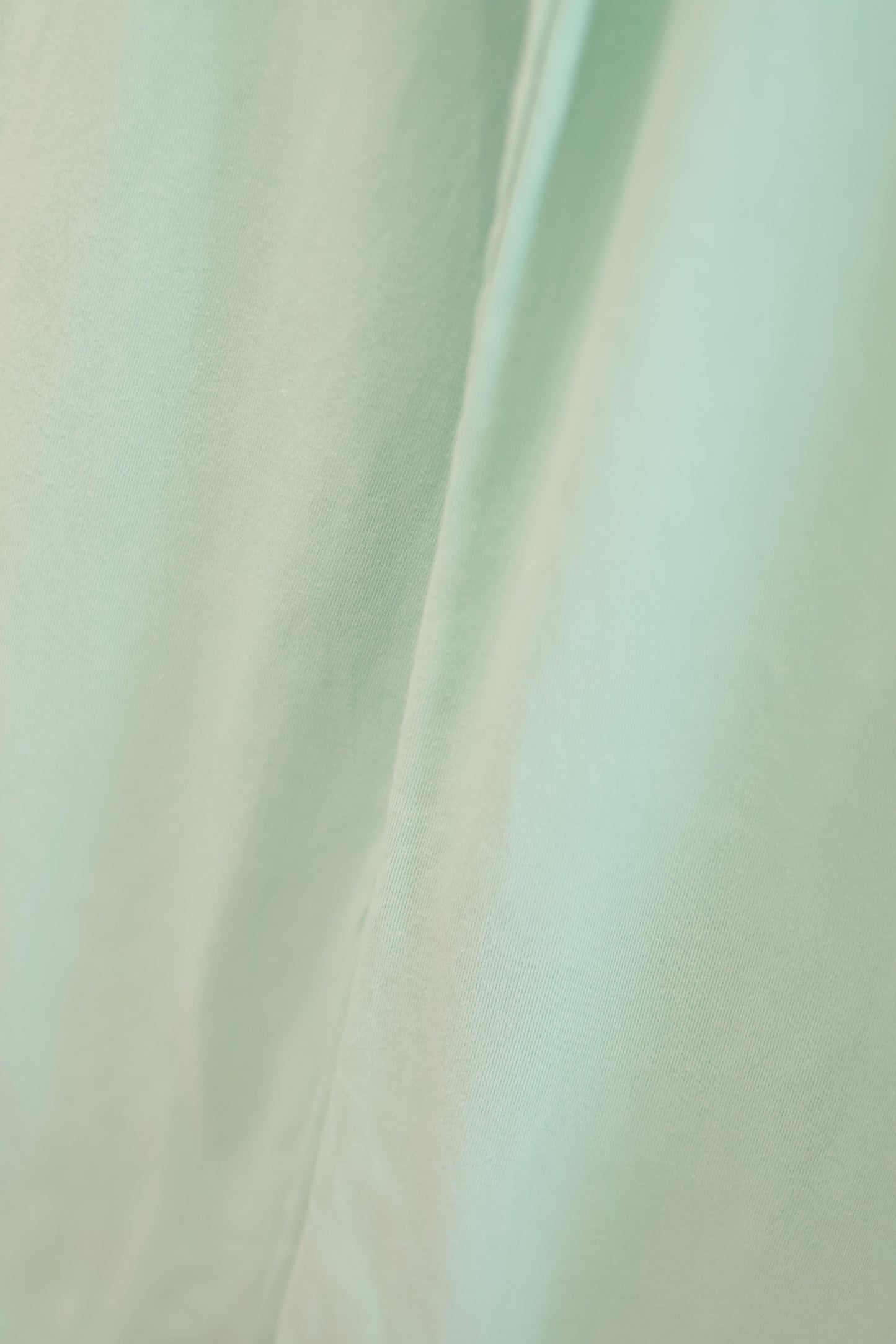 BRANDY Priscilla Pants - Ice Green