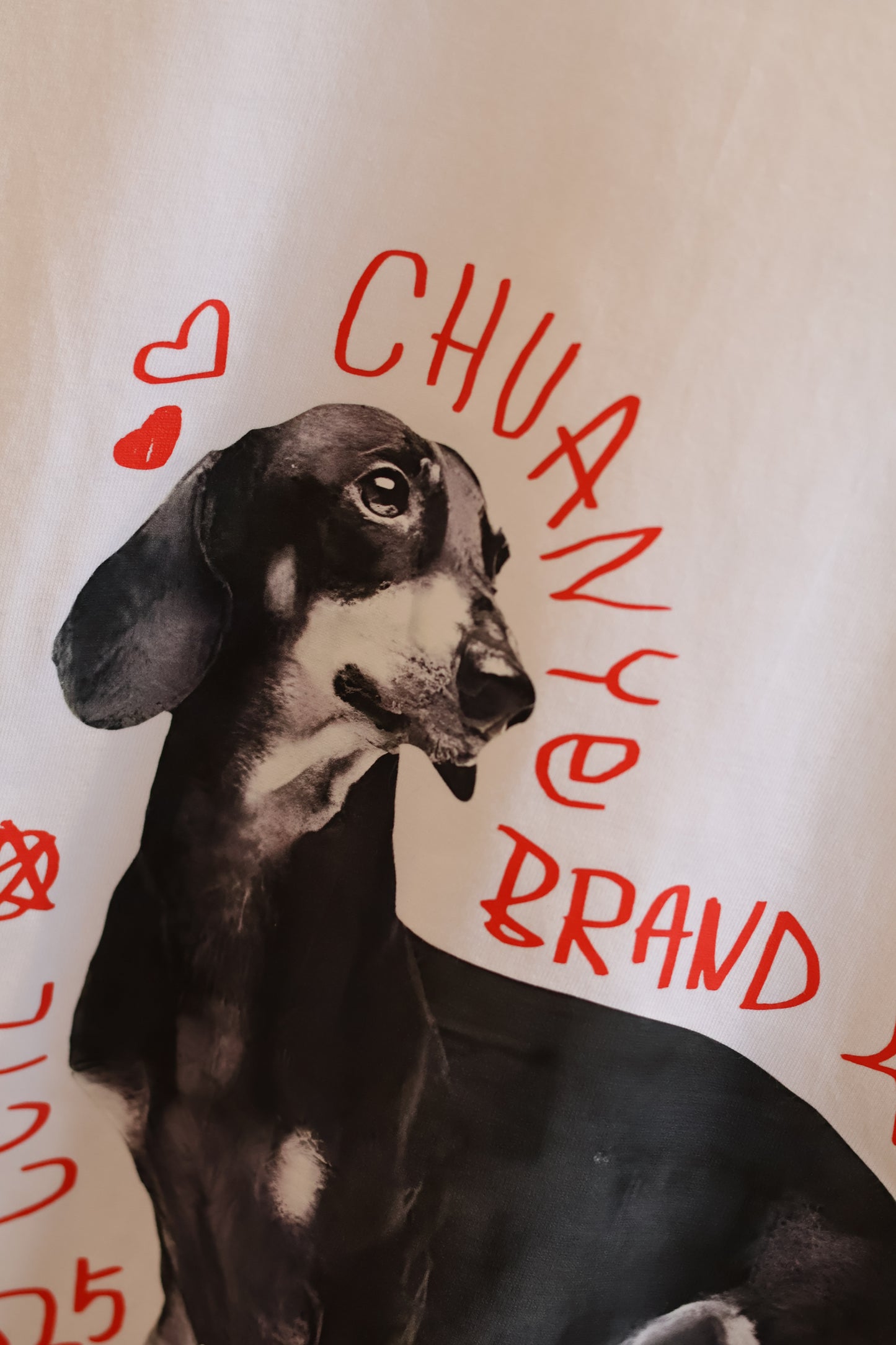 Chihuahua tee shirt
