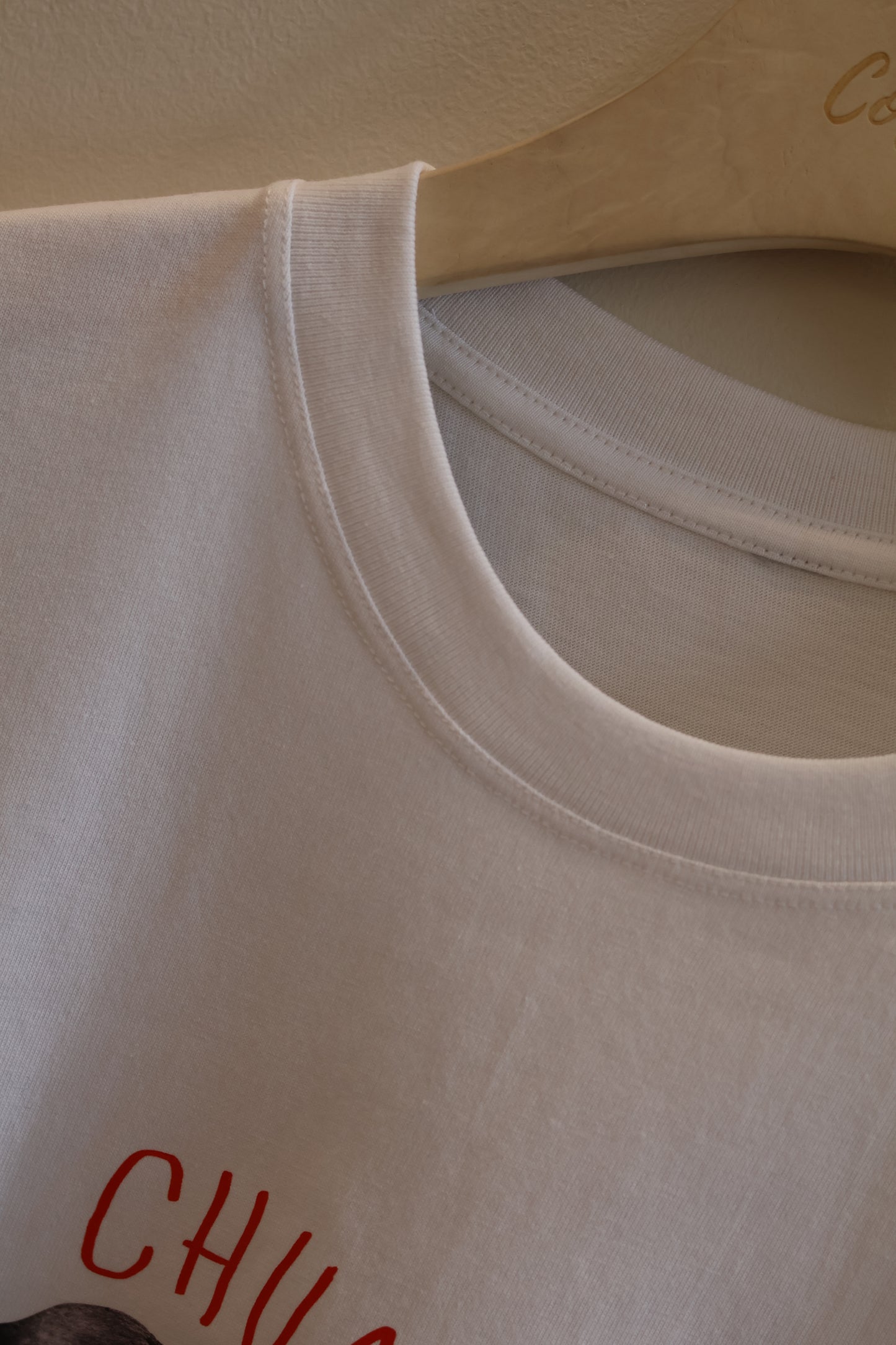 Chihuahua tee shirt