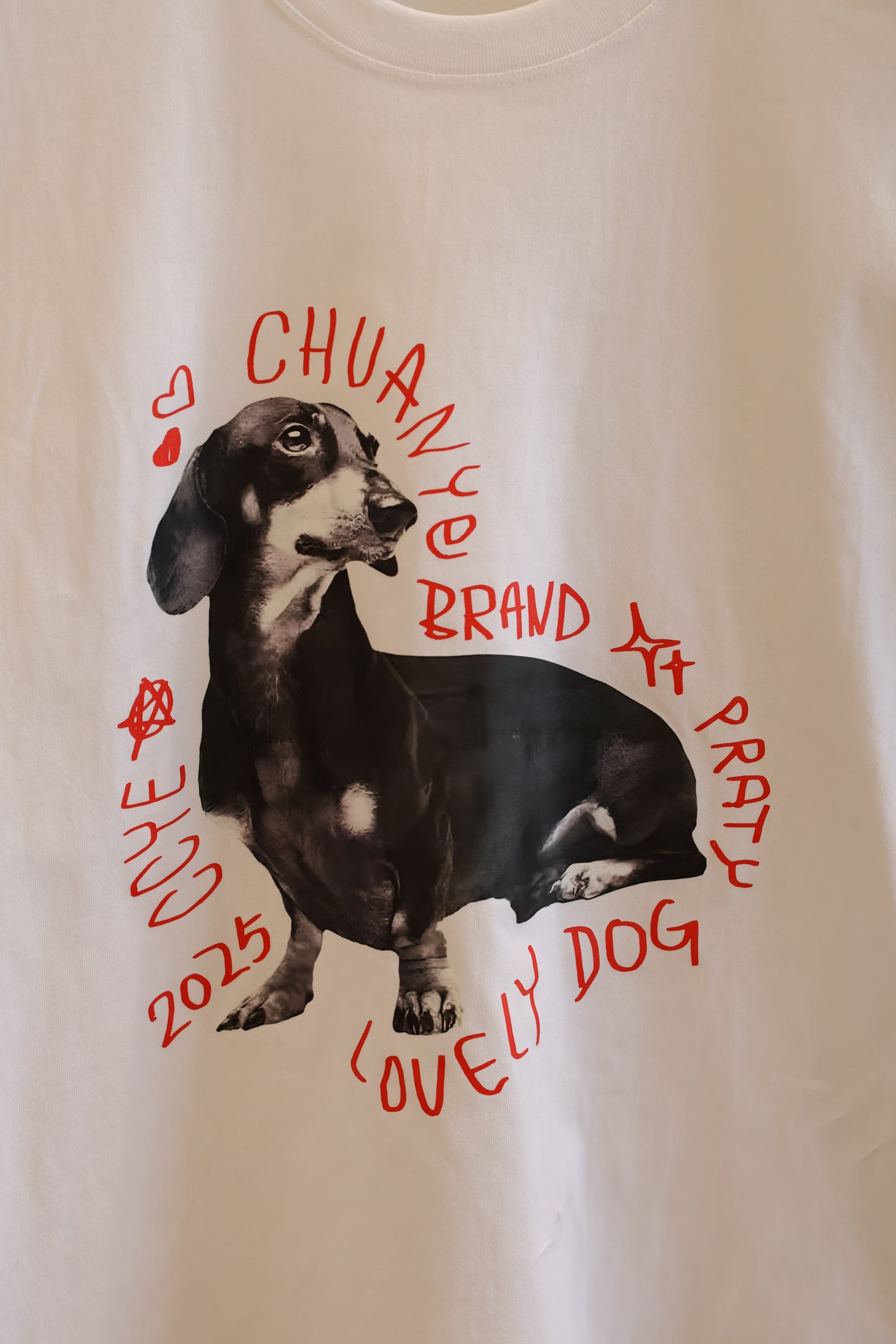 Chihuahua tee shirt