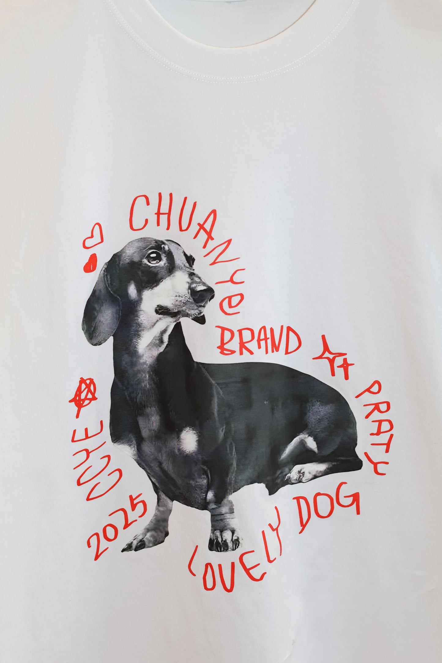 Chihuahua tee shirt