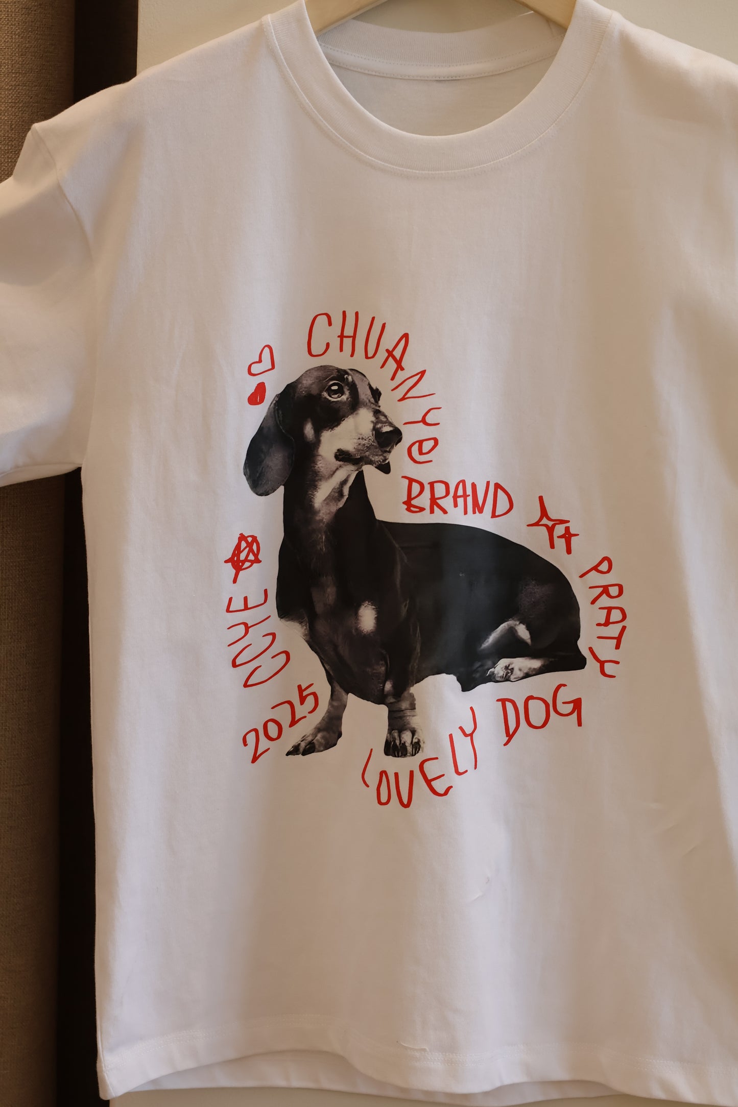 Chihuahua tee shirt