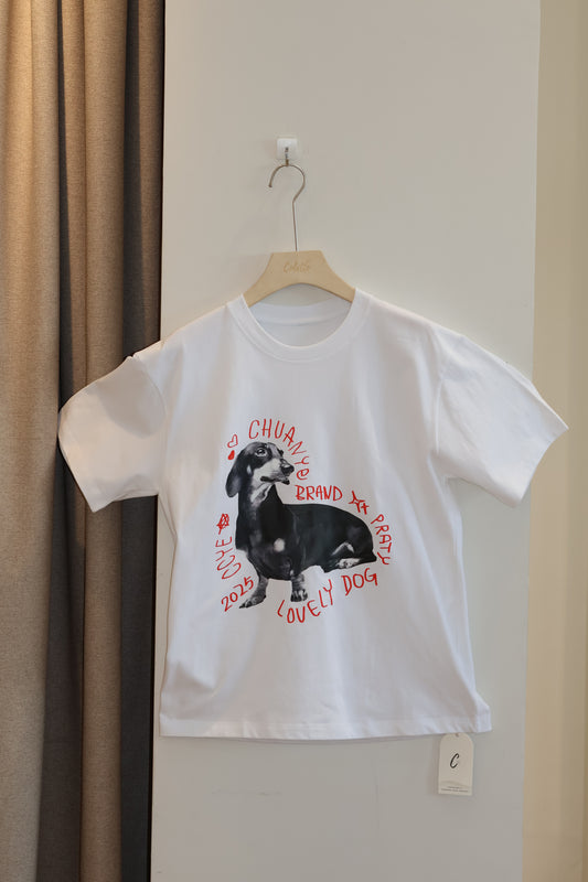 Chihuahua tee shirt
