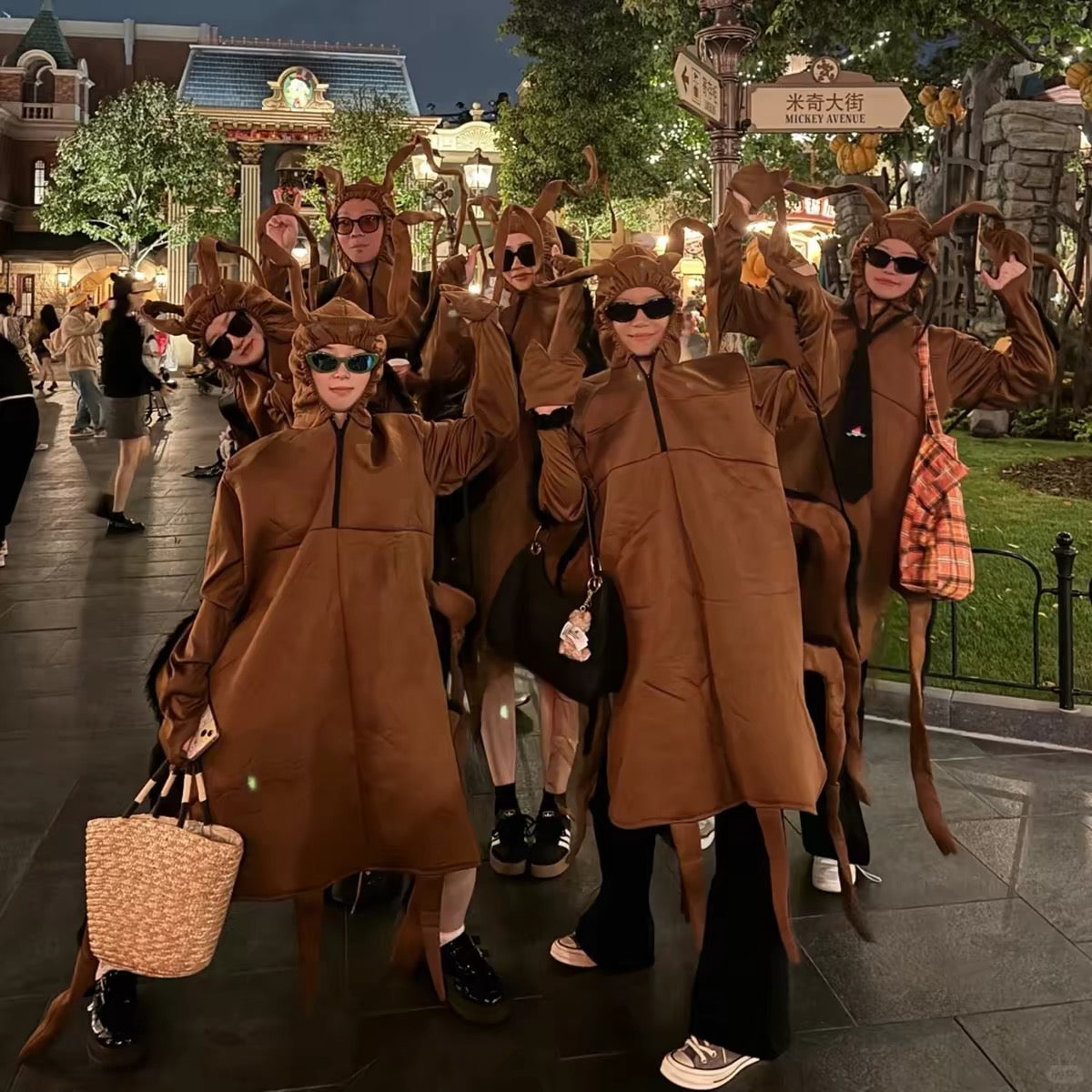 Brown Cockroach Costume