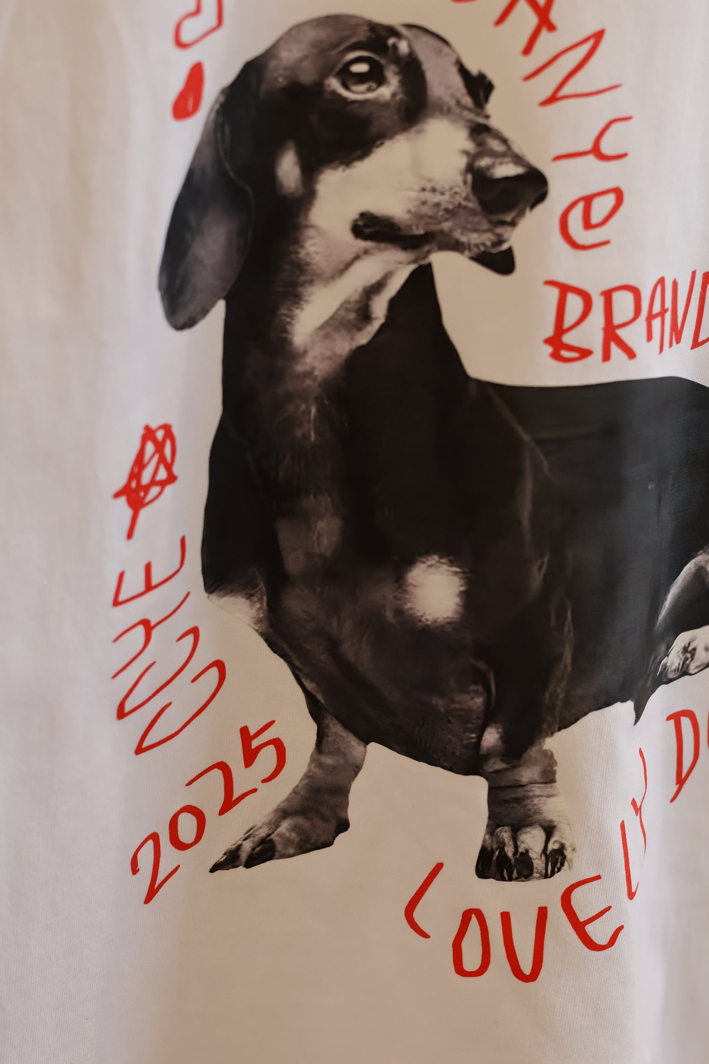 Chihuahua tee shirt