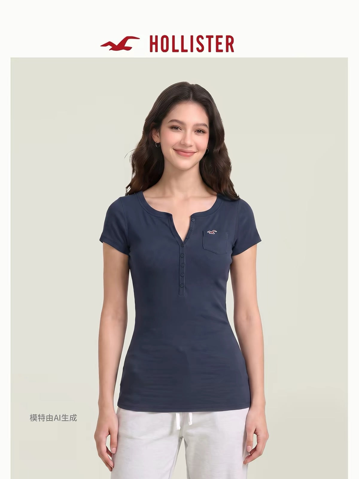 HOLLISTER Seagull Henley Top
