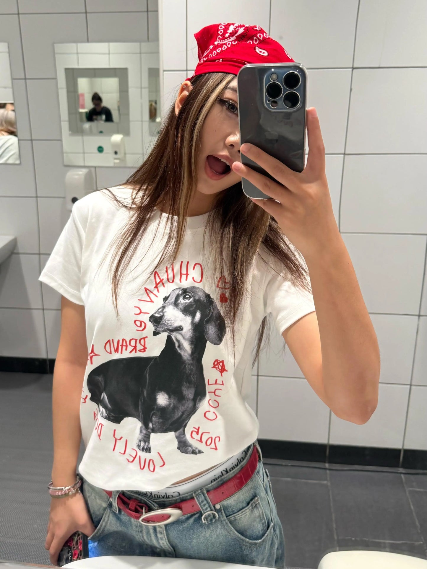 Chihuahua tee shirt