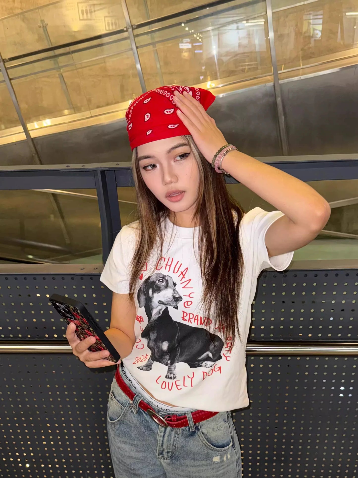 Chihuahua tee shirt