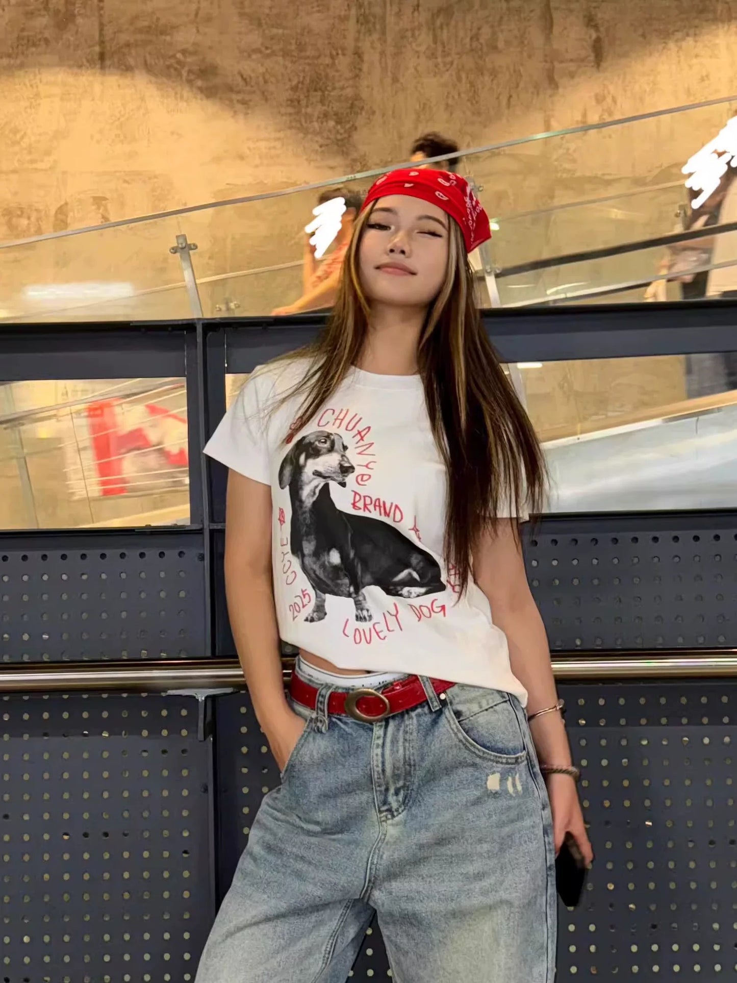 Chihuahua tee shirt