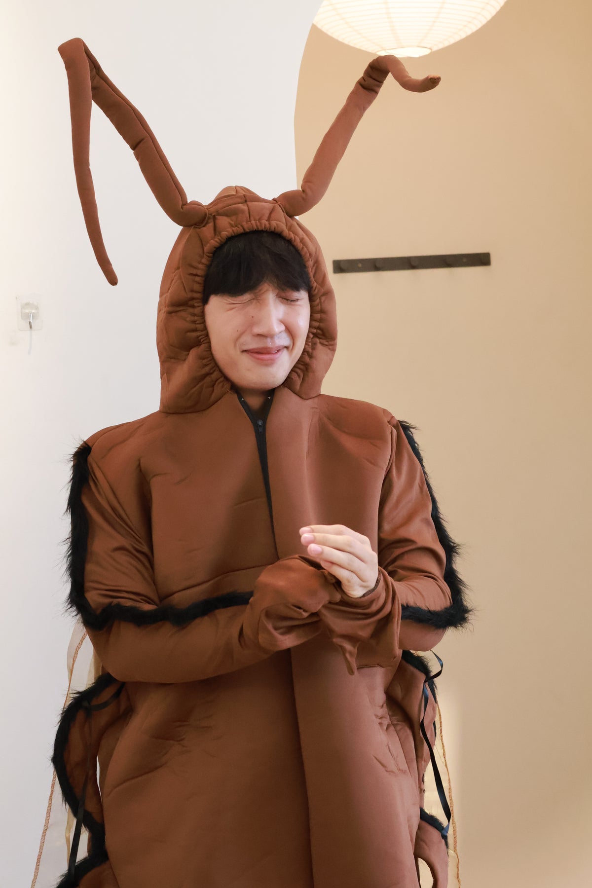 Brown Cockroach Costume