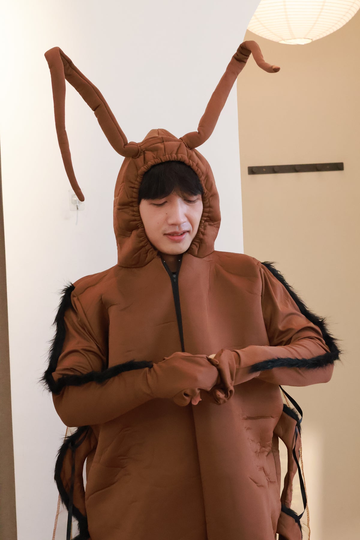 Brown Cockroach Costume