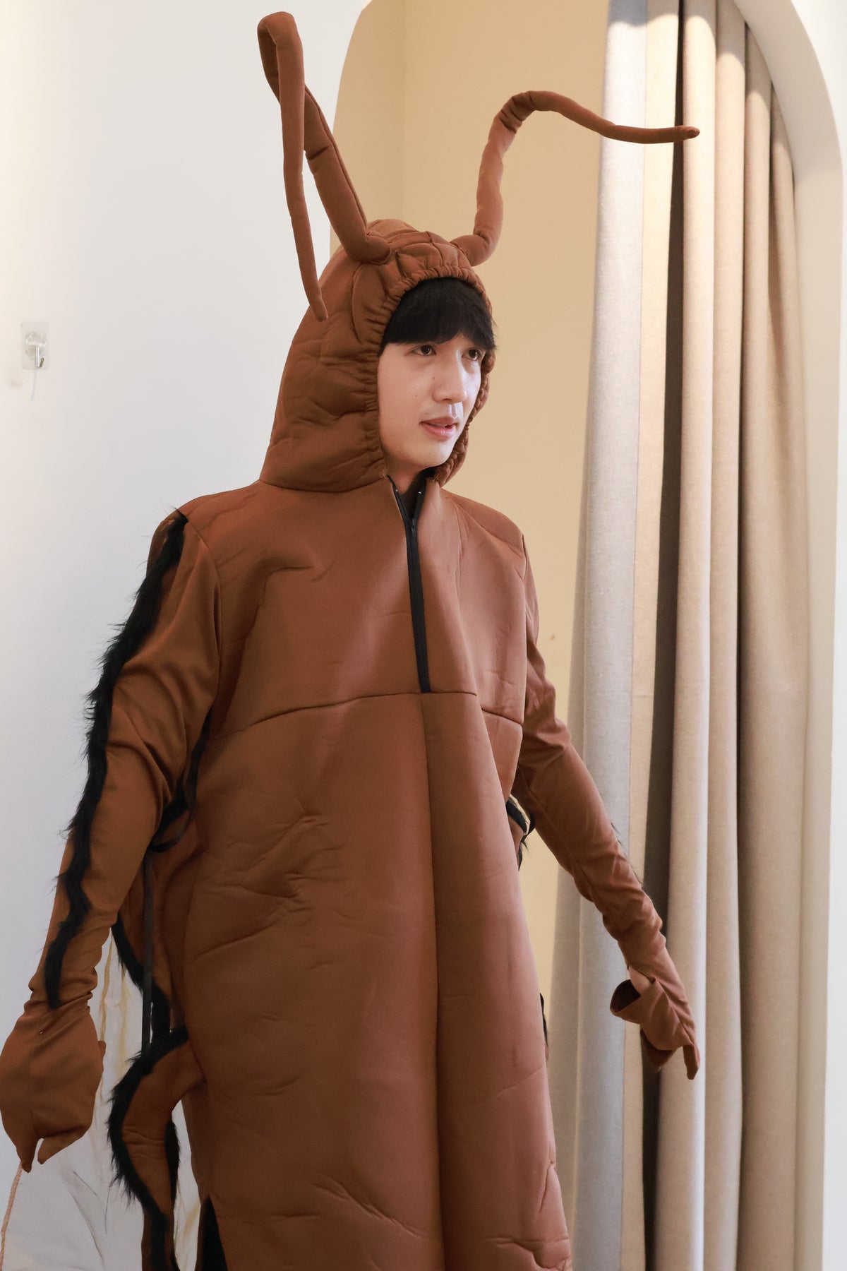 Brown Cockroach Costume