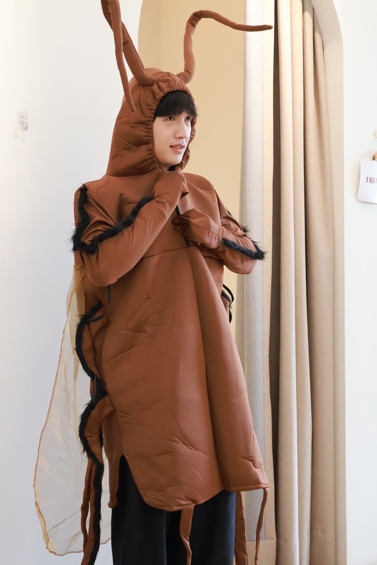 Brown Cockroach Costume
